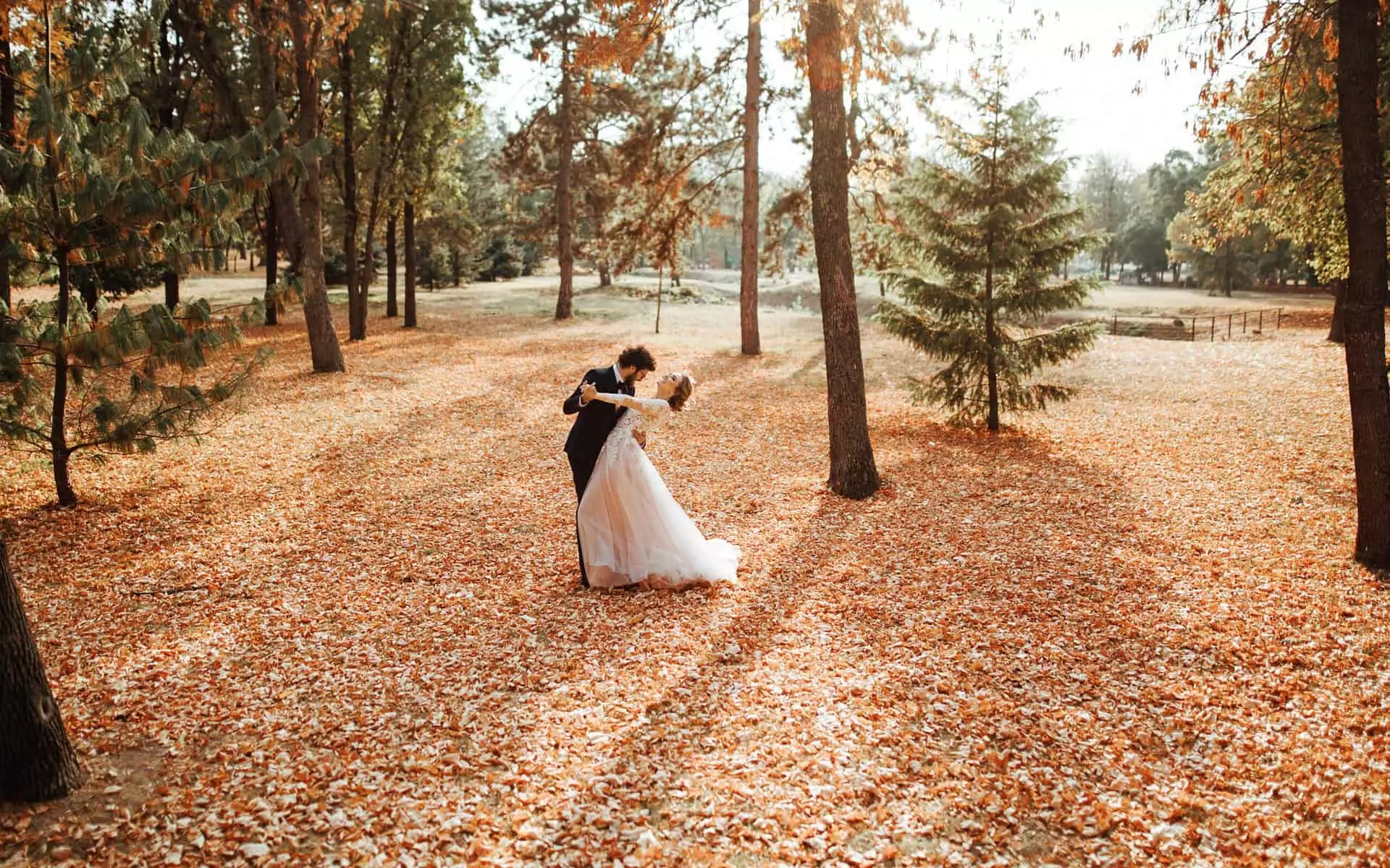 thomas schweighofer 35